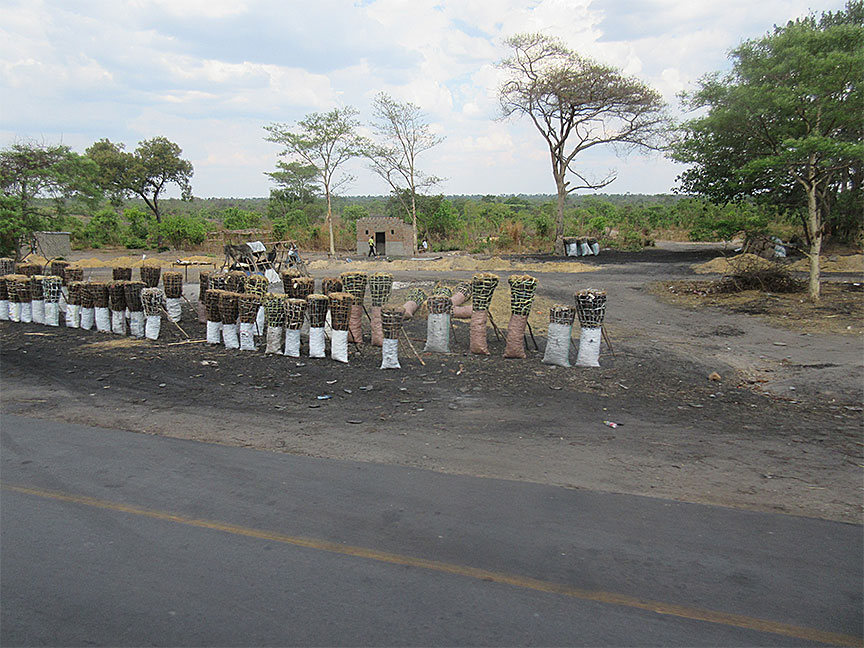 ForestInn