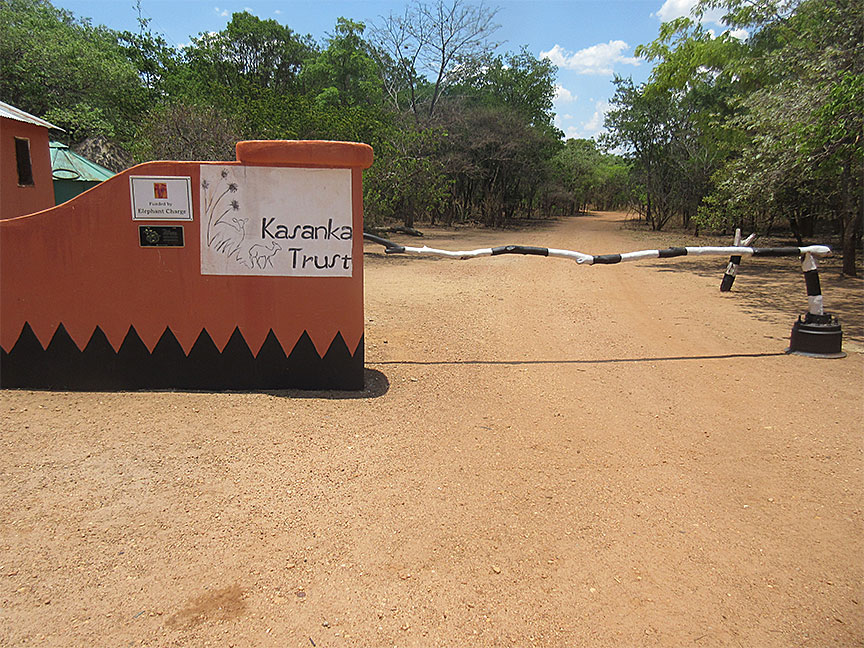 Kansanka