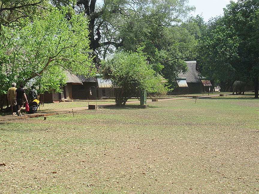 Mfuwe