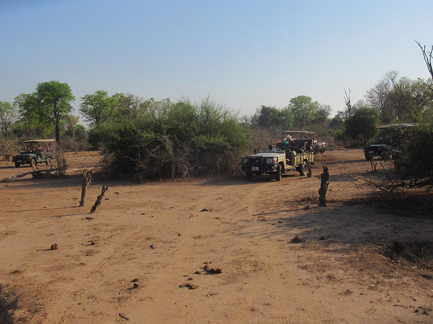 Mfuwe