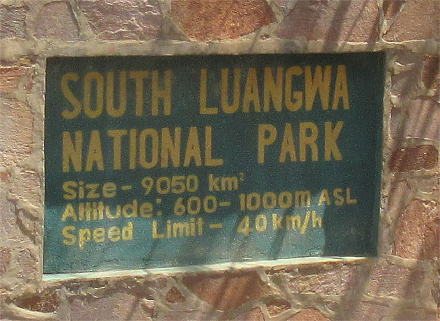 Mfuwe