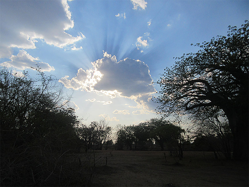 Mfuwe