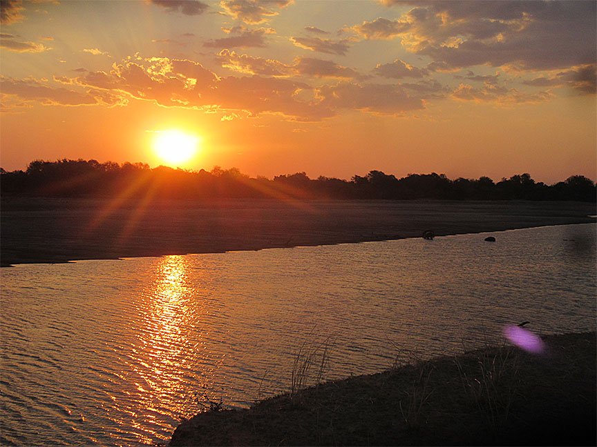 Mfuwe