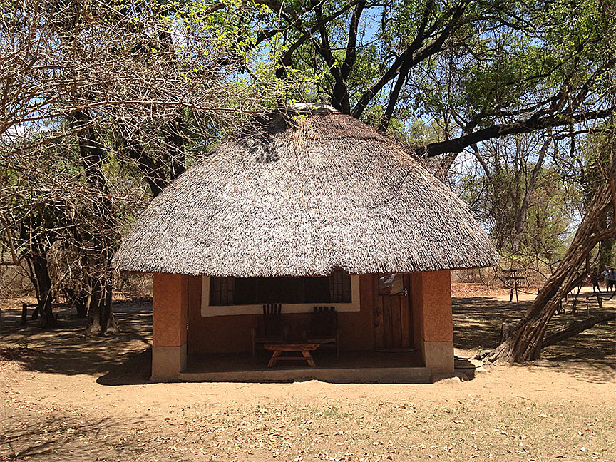 Wildlife Camp