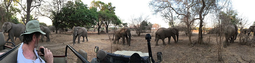 Wildlife Camp