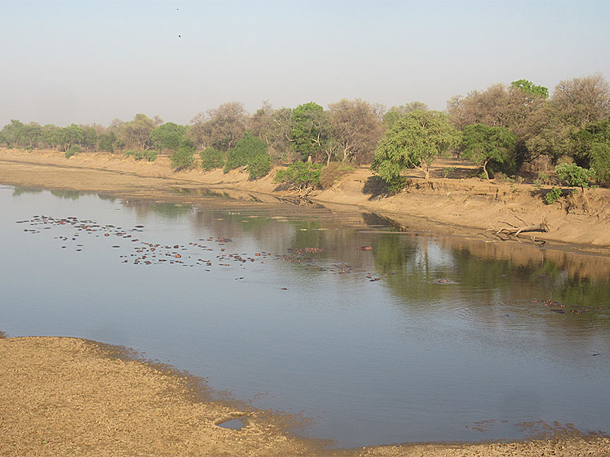 Wildlife Camp