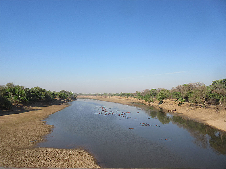 Wildlife Camp