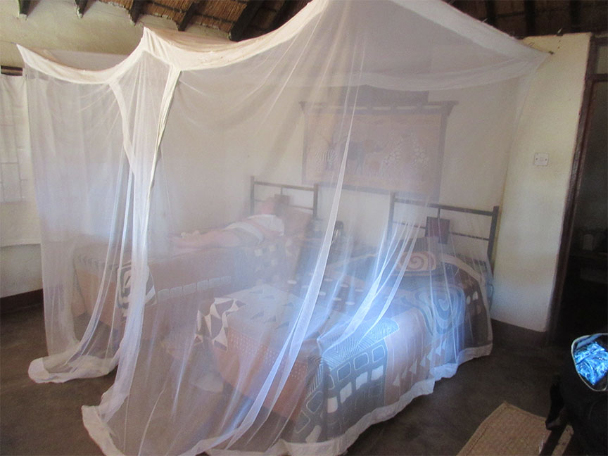 Wildlife Camp