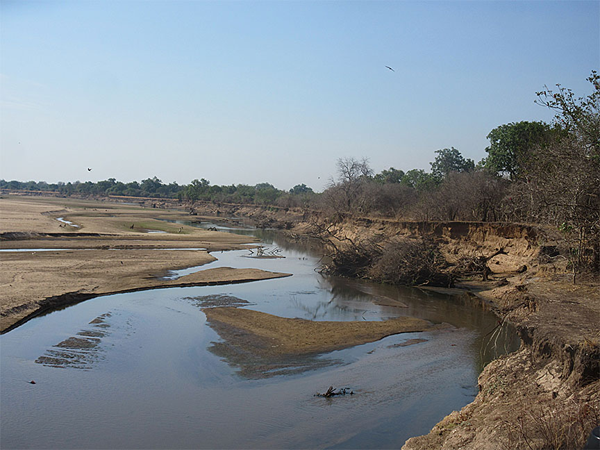Wildlife Camp