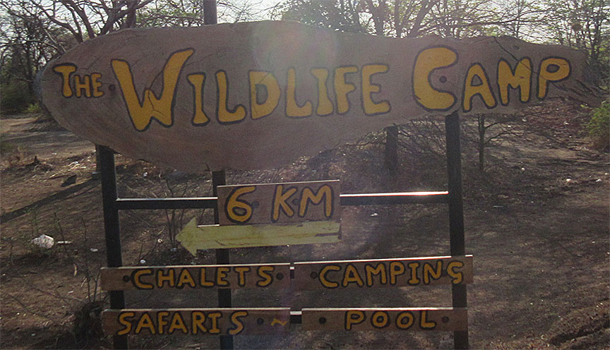 Wildlife Camp