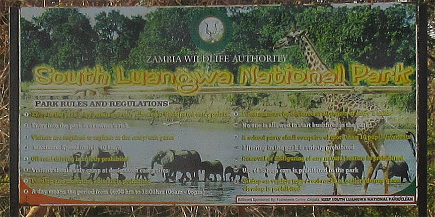 Wildlife Camp