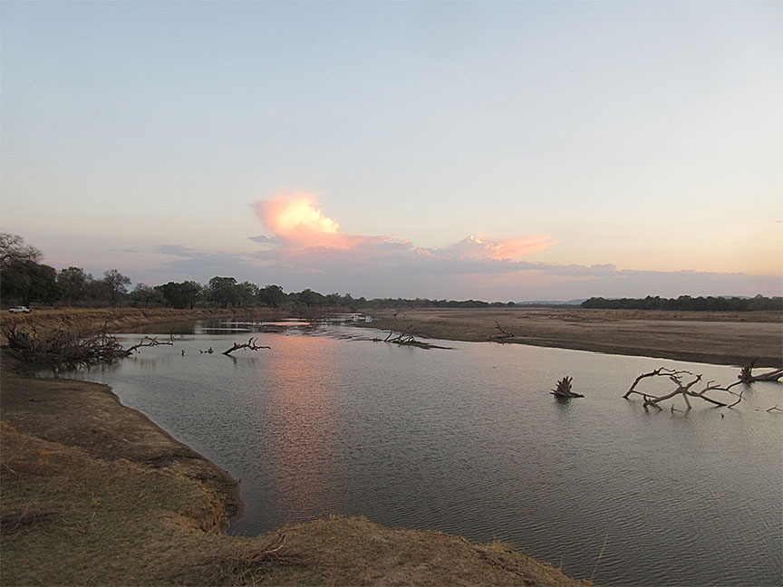 Wildlife Camp